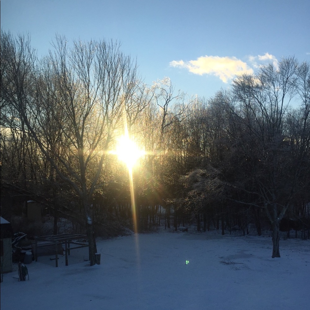 Meet your Posher, Ben